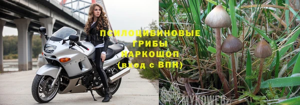прущий лед Алексин